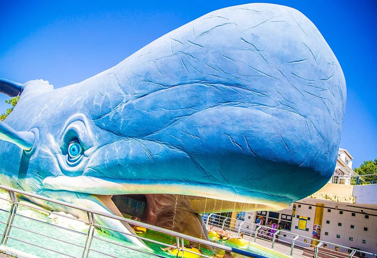 media.Buoni_Motivi_Atlantica_ingressi_gratuiti_parco_acquatico_Club_Family_Hotel_Milano_Marittima